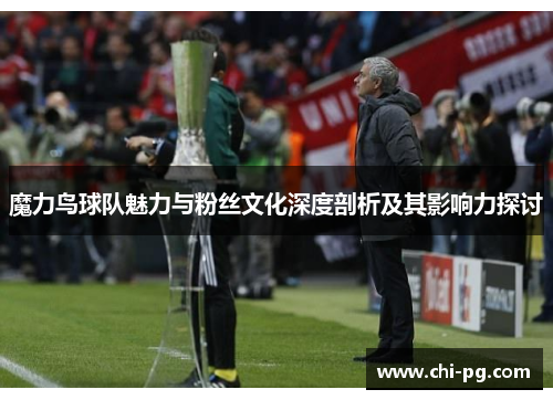 魔力鸟球队魅力与粉丝文化深度剖析及其影响力探讨 魔力鸟球队魅力与粉丝文化深度剖析及其影响力探讨