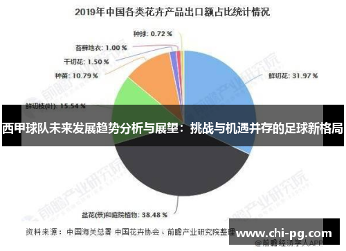西甲球队未来发展趋势分析与展望:挑战与机遇并存的足球新格局 西甲球队未来发展趋势分析与展望:挑战与机遇并存的足球新格局
