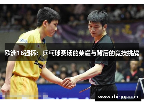 欧洲16强杯:乒乓球赛场的荣耀与背后的竞技挑战 欧洲16强杯:乒乓球赛场的荣耀与背后的竞技挑战