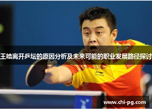 王皓离开乒坛的原因分析及未来可能的职业发展路径探讨
