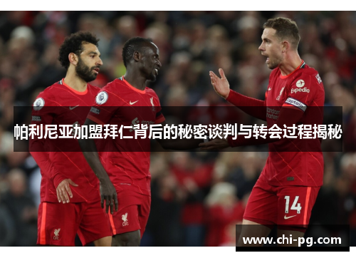 帕利尼亚加盟拜仁背后的秘密谈判与转会过程揭秘